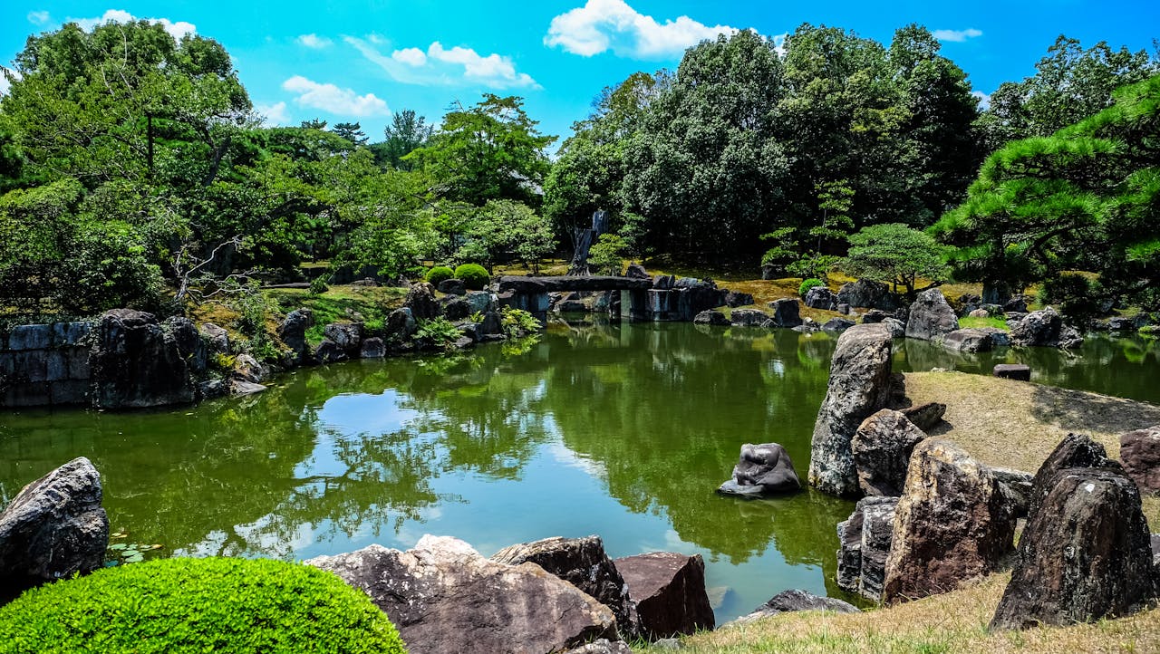Tranquil Japanese garden with rocks, pond, and lush greenery under a clear sunny sky.